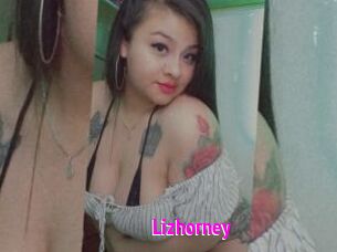 Lizhorney