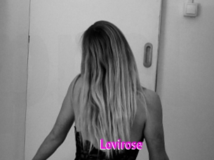 Lovirose