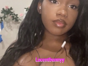 lucentbunnyy Porn Loverz