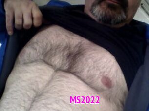 MS2022