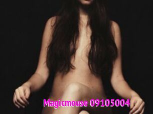 Magicmouse-09105004