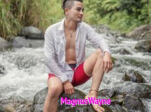 MagnusWayne