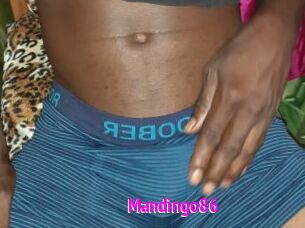 Mandingo86