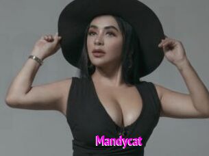 Mandycat