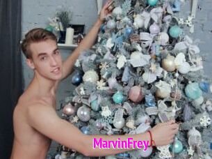 MarvinFrey