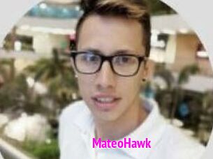 MateoHawk