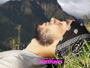 MattHayes