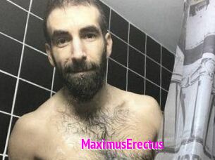 MaximusErectus