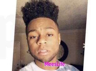 MeesLife