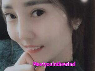 Meetyouinthewind