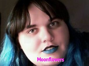 Moonflowers