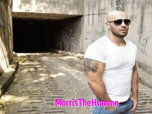 MorrisTheHumme
