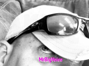 MrBigVoice