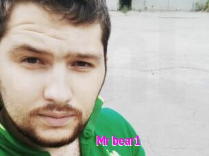 Mr_bear1