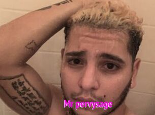 Mr_pervysage
