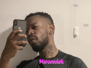 marcosulek Porn Loverz