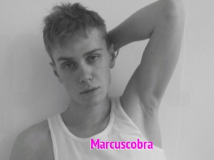Marcuscobra