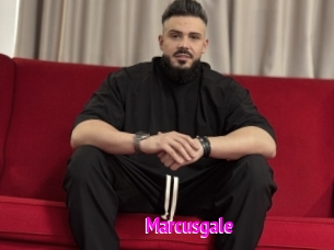 marcusgale Porn Loverz