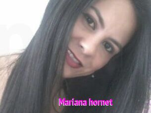 Mariana_hornet