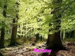 Martiaitor