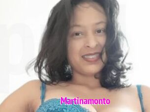 Martinamonto