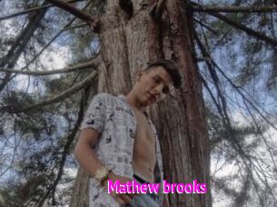Mathew_brooks