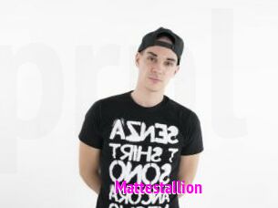 Mattestallion