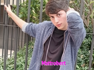 Mattrobert
