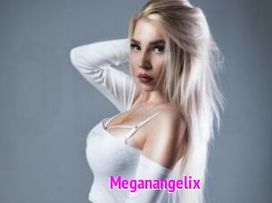 Meganangelix