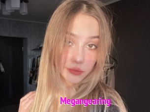 Megangearing