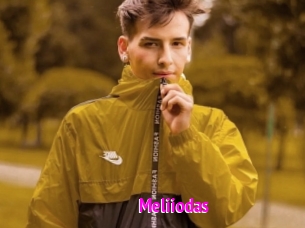Meliiodas