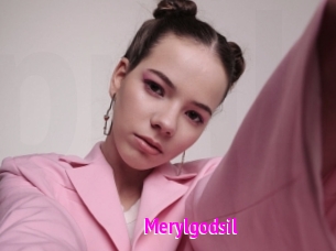 Merylgodsil