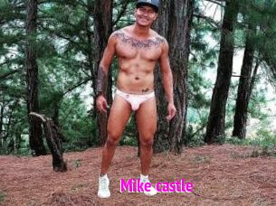 Mike_castle