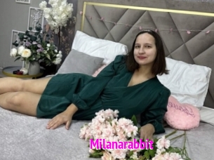 Milanarabbit