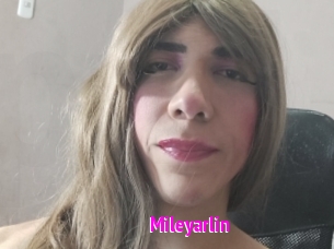 mileyarlin Porn Loverz