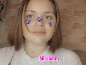 Mischarm