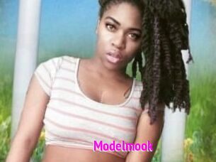 Modelmook