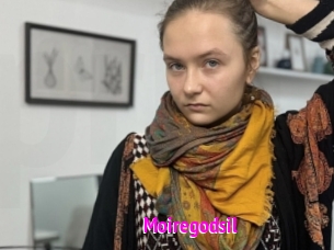 Moiregodsil