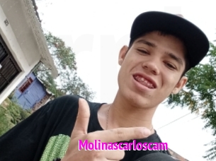 Molinascarloscam