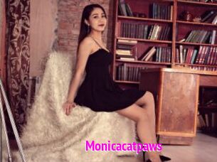 Monicacatpaws