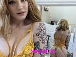 Morganallama