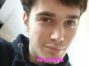 Mr_youngfox