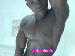 Mulatohotfu