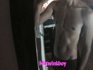 mxtwinkboy Porn Loverz