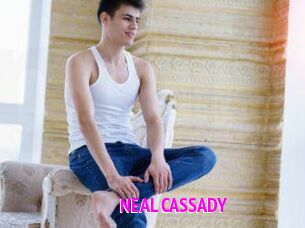 NEAL_CASSADY Porn Loverz