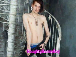 NaughtyBunnyBoy Porn Loverz