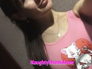 NaughtyHomeAlone