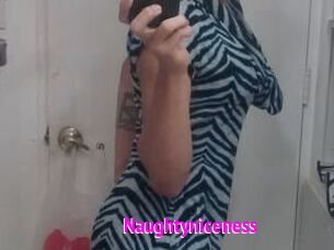 Naughtyniceness