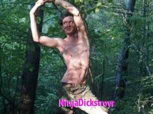 NinjaDickstroyr