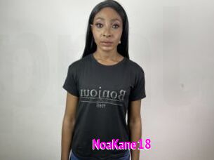NoaKane18